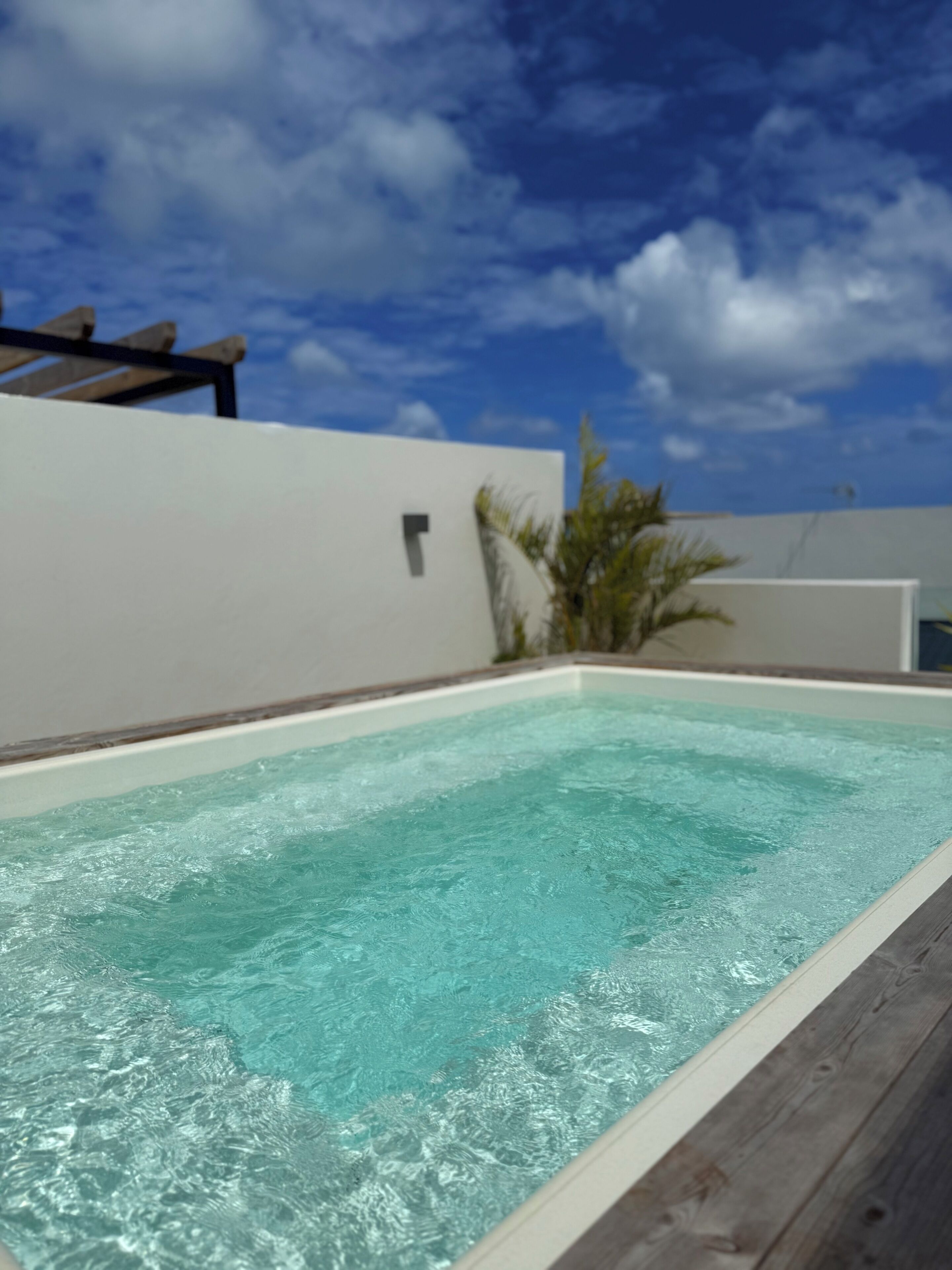 Penthouse, 3 Bedrooms | Private pool