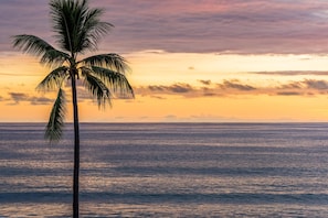 Condo, 1 Bedroom | Beach