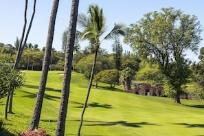 A golf course with palm trees, a well-maintained green, and a variety of shrubs and trees in the background.