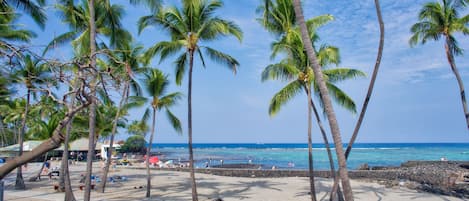 公寓式客房, 2 间卧室 | 海滩