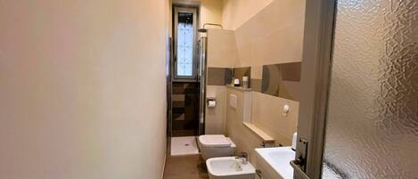 Shower, hair dryer, bidet, towels