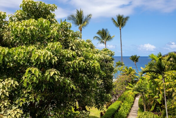 Condo, 2 Bedrooms | Property grounds