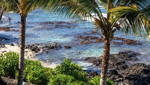 A beach with clear water, palm trees, and rocky shoreline. - Kona Bali Kai #219 2 Bedroom Condo (Kailua-Kona)