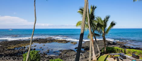 公寓式客房, 2 间卧室 | 住宿场地