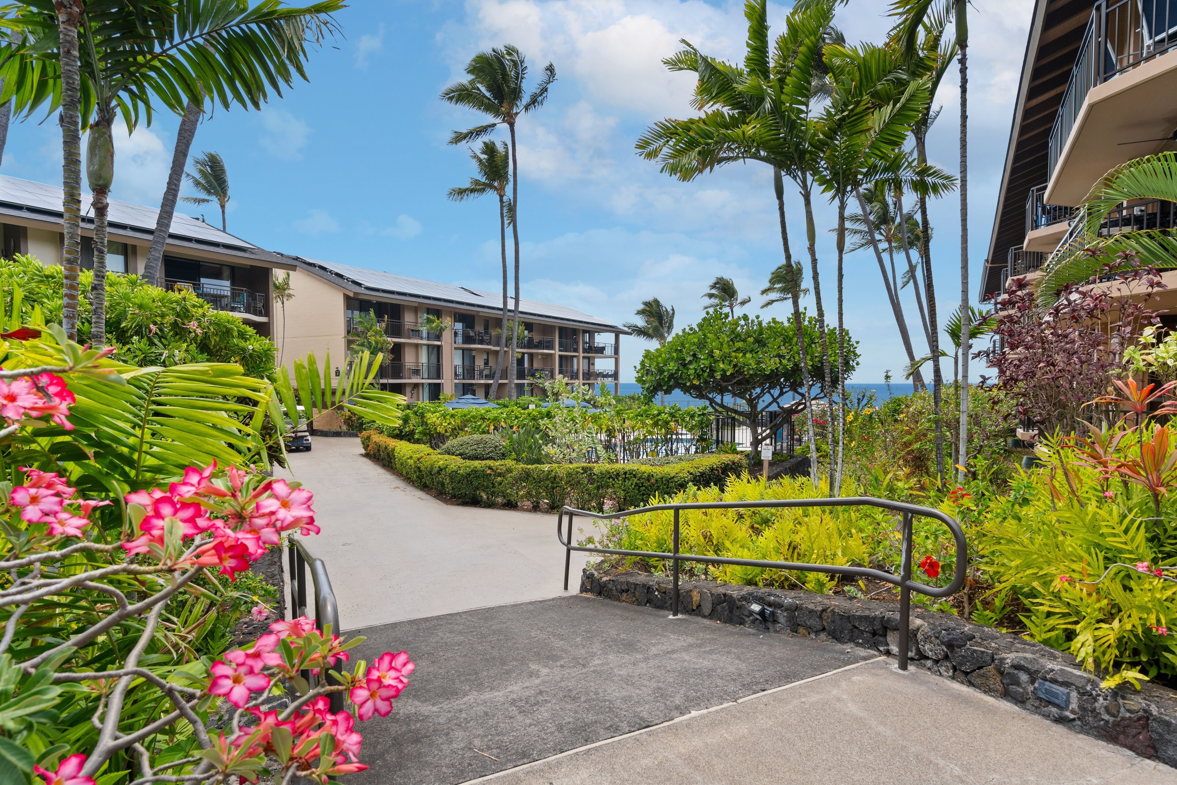 A hotel with a concrete pathway leading to a building, surrounded by lush greenery and palm trees.