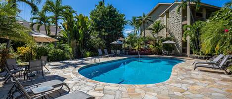 Appart'hôtel, 1 chambre | Piscine