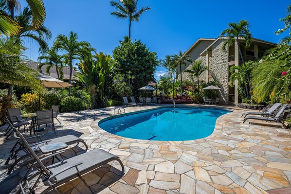 Ein Pool mit Liegestühlen und Sonnenschirmen, umgeben von Palmen und einer Steinterrasse.
