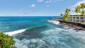 A coastal hotel with a view of the ocean, palm trees, and a rocky shoreline.
