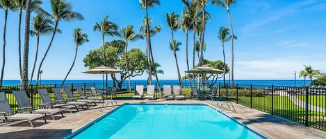 公寓客房, 1 間臥室 | 泳池