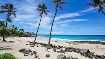 Condo, 3 Bedrooms | Beach