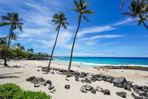 A beach with palm trees, clear blue sky, and ocean. - Na Hale O Keauhou G4 3 Bedroom Condo (Kailua-Kona)