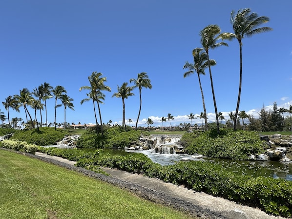 Condo, 2 Bedrooms | Property grounds