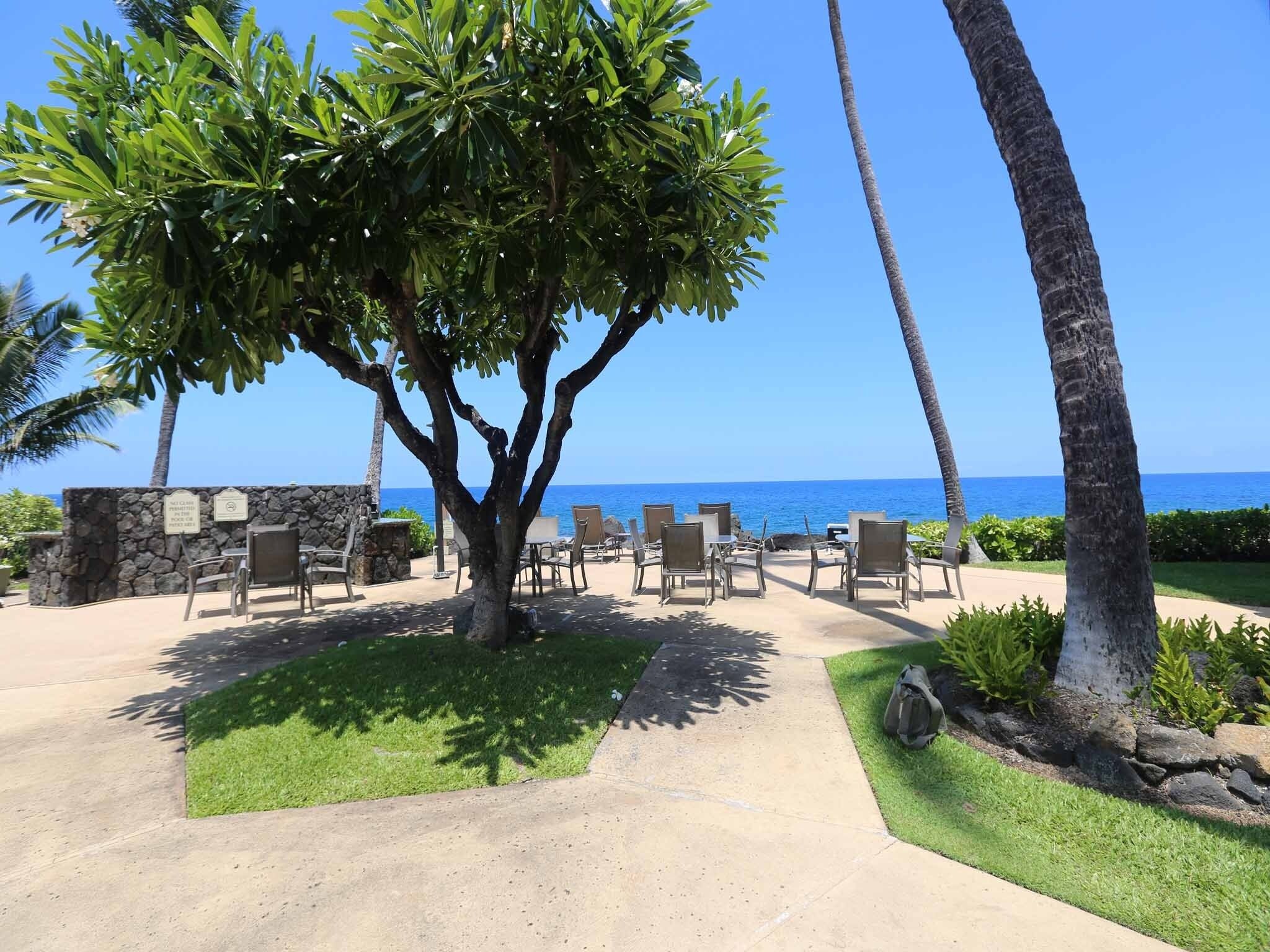 Condo, 1 Bedroom | Terrace/patio