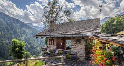 Chalet 'Baita Mas Sternai Nel Parco' with Mountain View, Private Garden and Wi-Fi