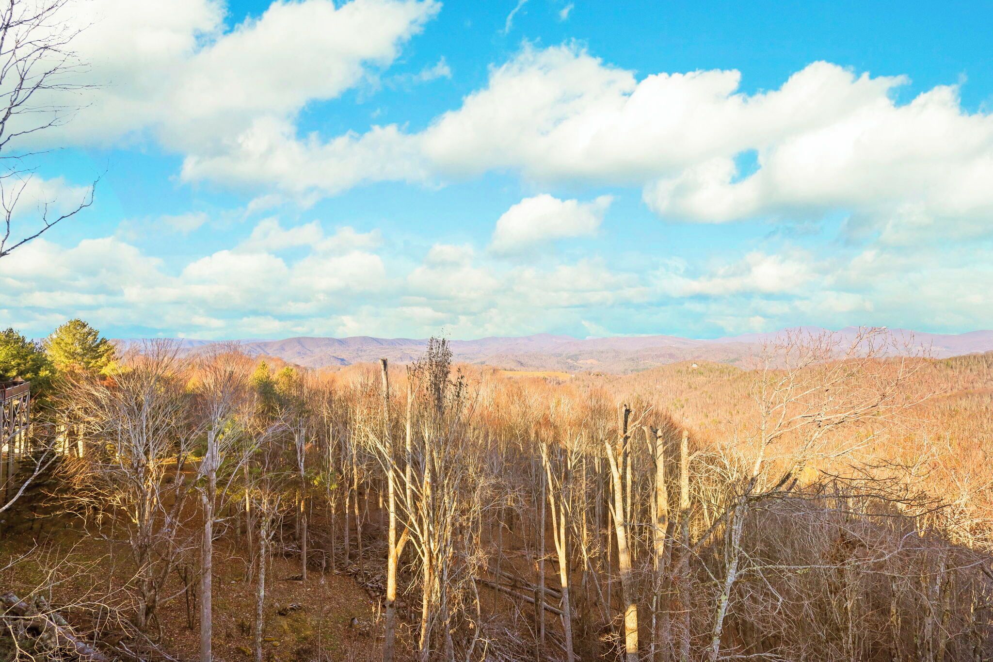 A forested landscape with a clear sky.