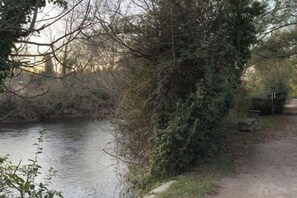 Un río con un sendero a su lado, rodeado de vegetación densa.