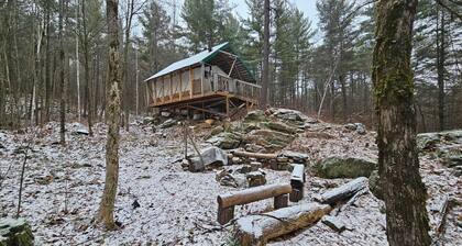 Unique cabin perched high with white pine trees
