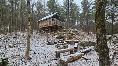 Unique cabin perched high with white pine trees