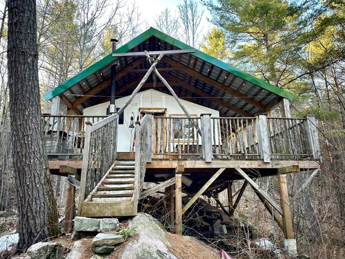 Unique cabin perched high with white pine trees