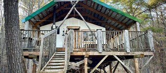 Unique cabin perched high with white pine trees