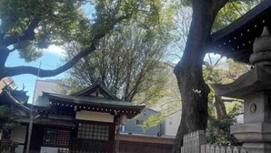 A traditional Japanese building with a tiled entrance, surrounded by trees and a stone fence.