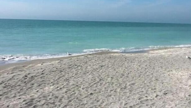 A beach with clear blue water and a sandy shore. - Big backyard hangout, firepit, large primary suite (Sarasota)