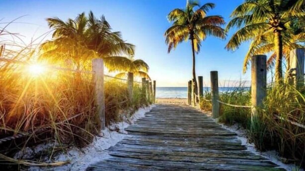 Un sendero de madera que conduce a una playa con palmeras a ambos lados.