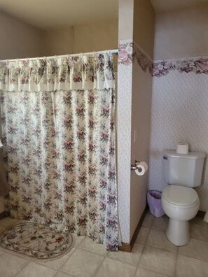 Chuveiro, secador de cabelo, toalhas de banho, sabonete