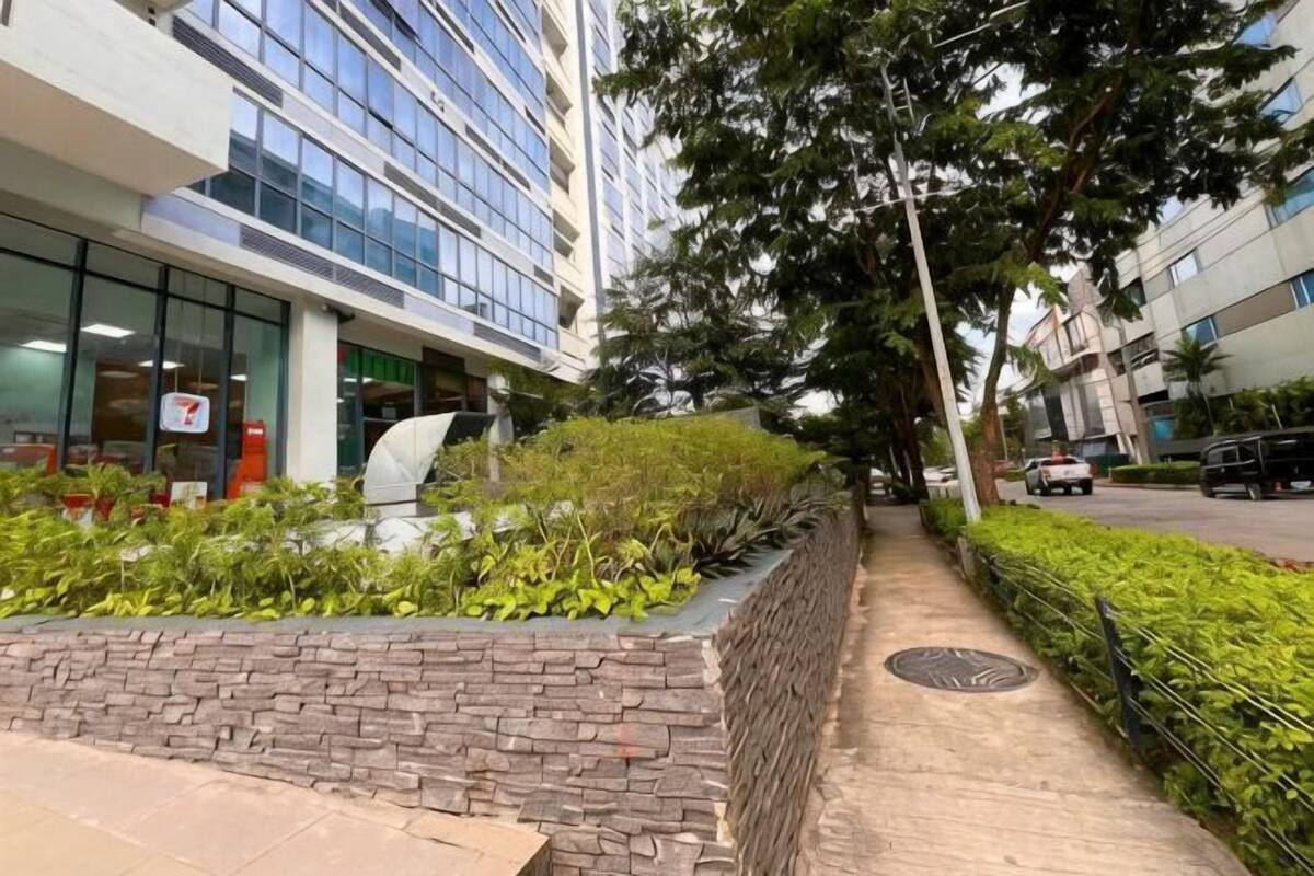 A pathway lined with greenery and a brick wall, leading to a modern building with glass windows.