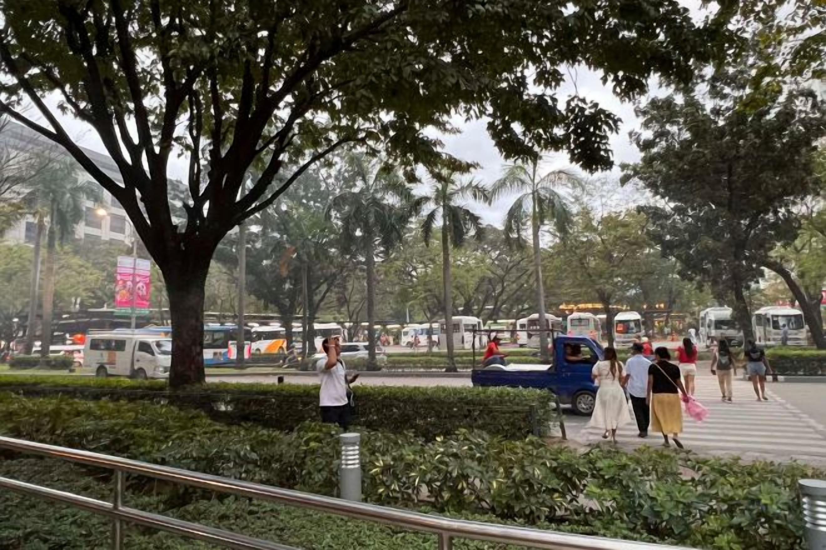 A tree-lined urban street with a pedestrian crossing, vehicles, and people.