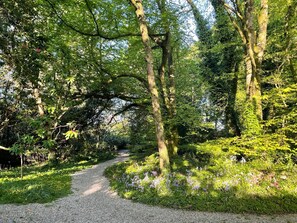 Áreas de la propiedad