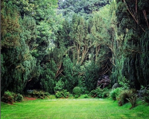 Historic Barmeath Castle Guest Wing — Luxury Stay Amid Gardens & Woodland