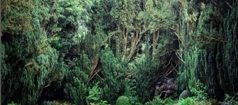 Historic Barmeath Castle Guest Wing — Luxury Stay Amid Gardens & Woodland