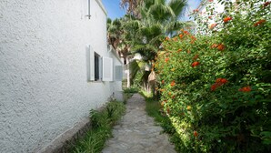 A narrow stone pathway flanked by lush greenery and a white building with shutters. - Yourhouse Mon Repos 1 (Alcúdia)