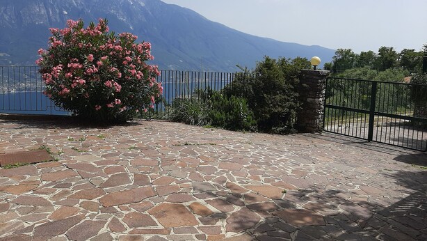 Ein pflasterbelagter Bereich mit einem Metallzaun, einem Busch mit rosa Blüten und einem Berg im Hintergrund.