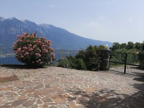 Une zone dallée de pierres, avec une clôture en métal, un arbuste aux fleurs roses et une montagne en arrière-plan.