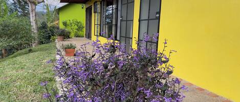 Détail de l’extérieur