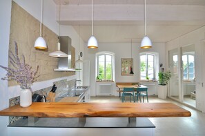 Fridge, oven, stovetop, dishwasher - Old school with a modern apartment - The reading room (Baustert)
