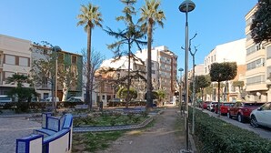 Un chemin pavé bordé de bancs, de palmiers et d’une rangée de voitures garées.