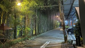Un chemin illuminé, bordé d’arbres et de plantes, qui mène à une zone abritée où une voiture est garée à proximité.