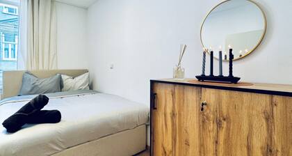 Elegant Room Near Kaufpark Alterlaa