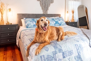 1 bedroom, desk, iron/ironing board, WiFi - Dog-Friendly Vacation Rental in Beaufort, NC – Fenced Yard & Walk to Waterfront (Beaufort)