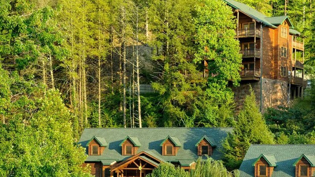 Un chalet doté de plusieurs cabanes en rondins, d’une piscine et d’une végétation luxuriante.