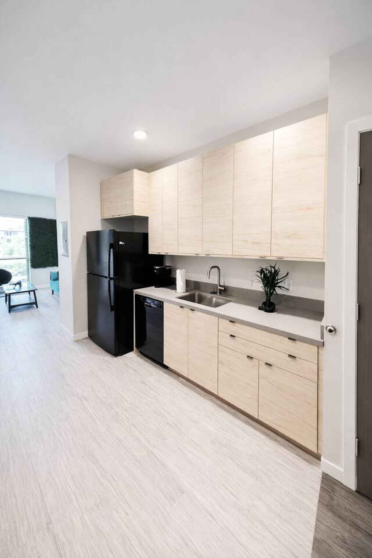 Fridge, microwave, dishwasher, coffee/tea maker