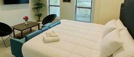 1 chambre, fer et planche à repasser, Wi-Fi