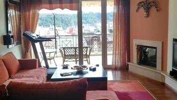 TV, fireplace