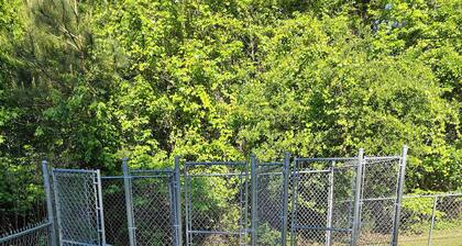 Cozy 2-bedroom house in charming Cheraw, SC