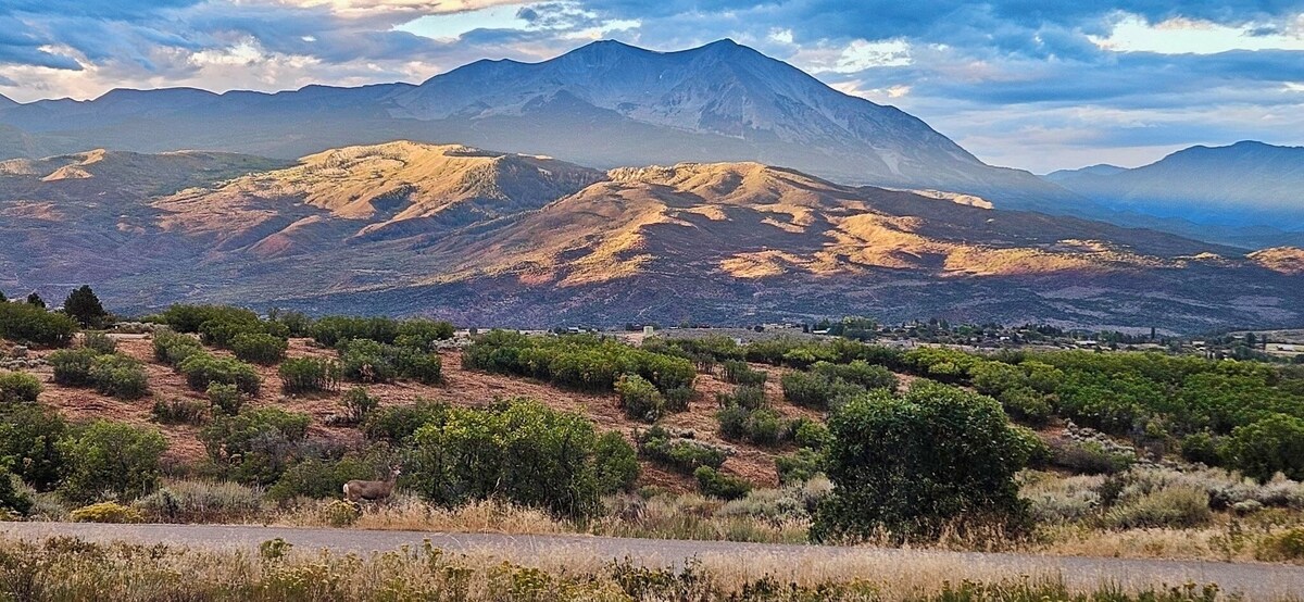 Imagen de perfil del propietario o de la propietaria