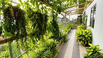 A narrow indoor pathway flanked by lush green plants and a wooden trellis structure.