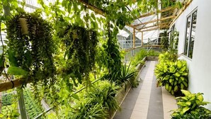 Un sendero estrecho bordeado por exuberante vegetación y una estructura de vidrio sobre él.